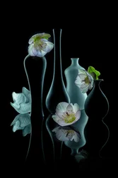 Brillo floral elegante