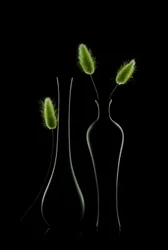Elegante bodegón verde