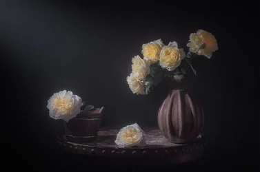 Elegantes rosas amarillas