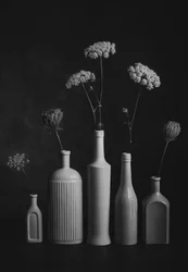 Bodegón botánico monocromo
