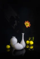 Flor y fruta melancólicas
