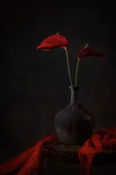Anturios rojos evocadores