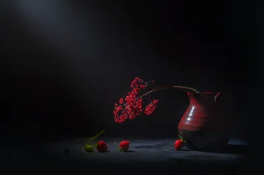 Bayas rojas melancólicas
