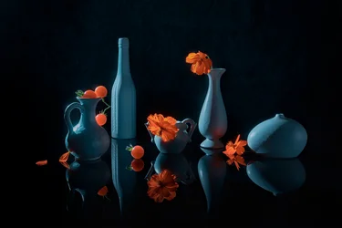 Flores naranjas, jarrones azules