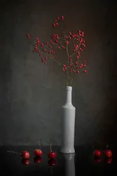 Naturaleza muerta con bayas rojas