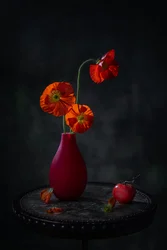 Amapolas rojas - bodegón oscuro