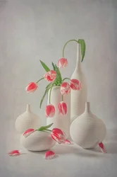Tulipanes rosa suave