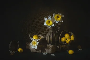 Narcisos de primavera y limones