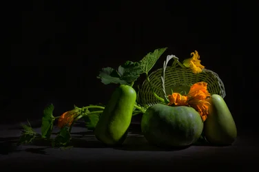 Vibrante naturaleza muerta de la cosecha