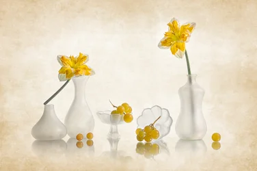 Narcisos amarillos y uvas