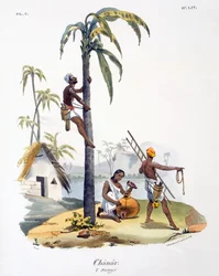 Un hombre de la casta Nadar trepando a una palmera, 1827-35