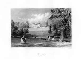 Pains Hill, Surrey, siglo XIX