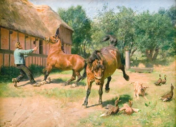 Caballos juguetones