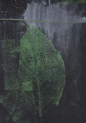 Hoja verde abstracta