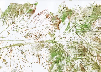 Hoja abstracta
