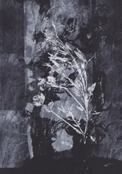 Naturaleza negra