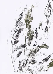 Estampado botánico de hierba