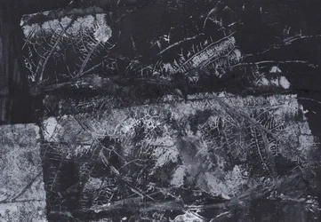 Textura orgánica oscura