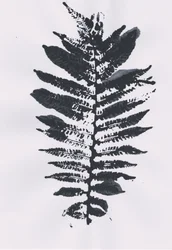 Elegante hoja de hiedra