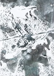 Follaje invernal etéreo