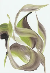 Flujo orgánico y elegante