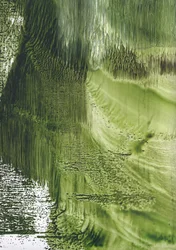 Flujo verde ecológico