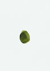 Fluido verde ecológico