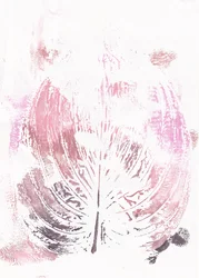 Hoja botánica rosa