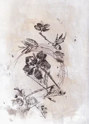 Sepia: Flujo botánico