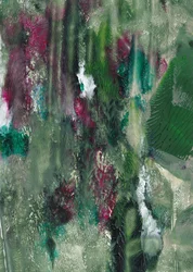 Capas de un bosque lleno de vida