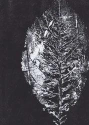 Impresión de hoja blanca