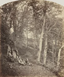 Un camino a través de un bosque, c. 1860