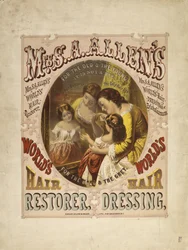 Restaurador de cabello mundial de la Sra. S. A. Allen, 1865 (litografía)