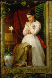 El amor del colibrí