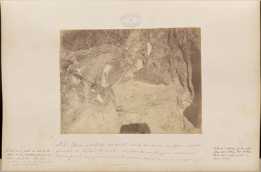 Estudio detallado de la parte norte de la carte en la formación glaciar Red Gate