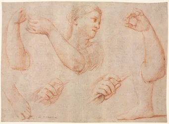Estudio de una mujer joven que toca una pandereta y estudios de un brazo, manos y pies (estudios para "Miriam al frente del coro de mujeres que dan gracias por la derrota del faraón"