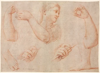 Estudio de una joven tocando una pandereta, y estudios de un brazo, manos y pies..., c. 1711
