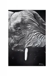 Retrato de un elefante majestuoso