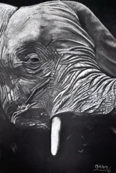 Retrato de un elefante majestuoso