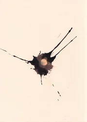 Blot 2, 2018 (tinta y lejía sobre papel)