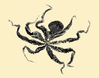 Pulpo, 2019 (gyotaku sobre papel de arroz)