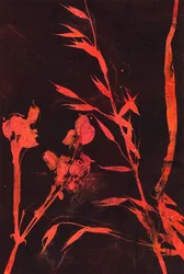 Hojas rojas, 2024 (monotipo)