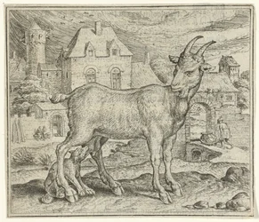 Fábula de la cabra y el joven lobo