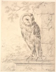 Búho del Barón von Stosch