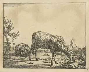 Pastoreo de ovejas y ovejas tumbadas en la valla Ovejas (título de la serie)