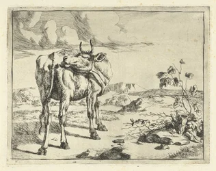 vaca lamiendo ella misma Bovinos y porcinos (título de la serie)