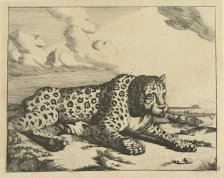 Leopardo acostado a la derecha, patas al espectador. Leopardos (título de la serie)