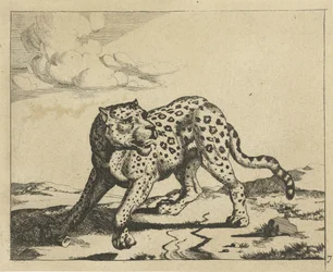 Leopardo, de pie a la izquierda, cabeza a la derecha. Leopardos (título de la serie)