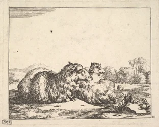 Ovejas, de un conjunto de 16 láminas, 1664