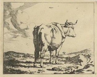 Vaca de pie, vista desde atrás Ganado (título de la serie)